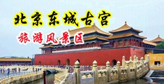 大鸡巴日逼黄色视频中国北京-东城古宫旅游风景区